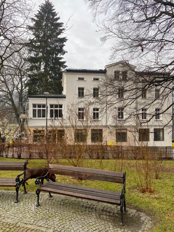 Cienista 7 Apartments Lądek-Zdrój Exteriér fotografie
