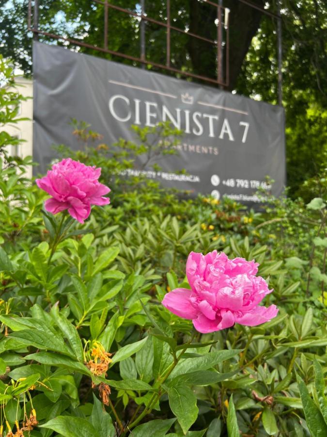 Cienista 7 Apartments Lądek-Zdrój Exteriér fotografie
